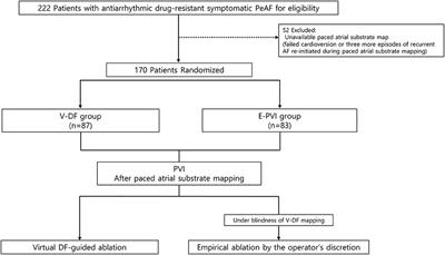 Clinical Outcomes of Computational Virtual Mapping-Guided Catheter Ablation in Patients With Persistent Atrial Fibrillation: A Multicenter Prospective Randomized Clinical Trial